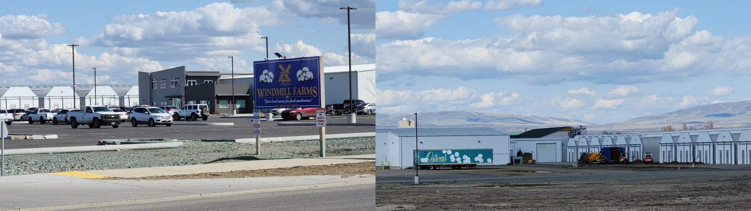 Ostrom’s truck & Windmill Farms, Sunnyside, Washington, April 14, 2023. Photos: Peter Costantini