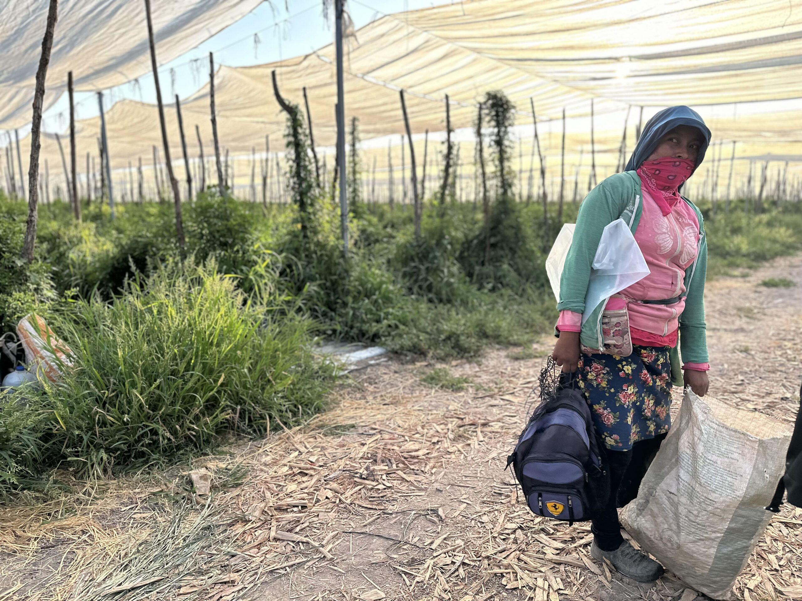 Agricultora protegida para la jornada con una mochila con herramientas y un saco con los productos de la cosecha. 